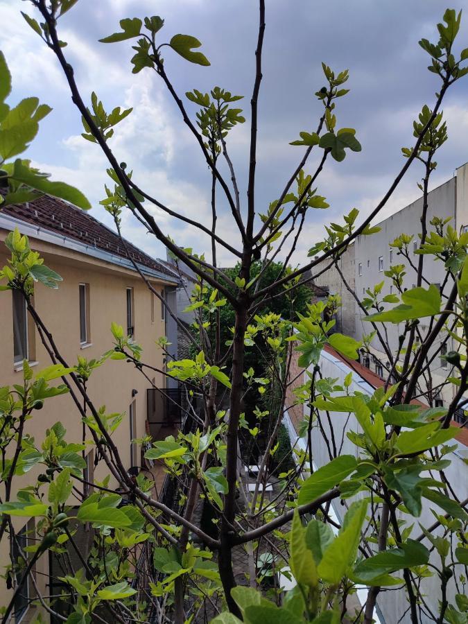 Centar Novi Sad-Apartman No 3 Экстерьер фото