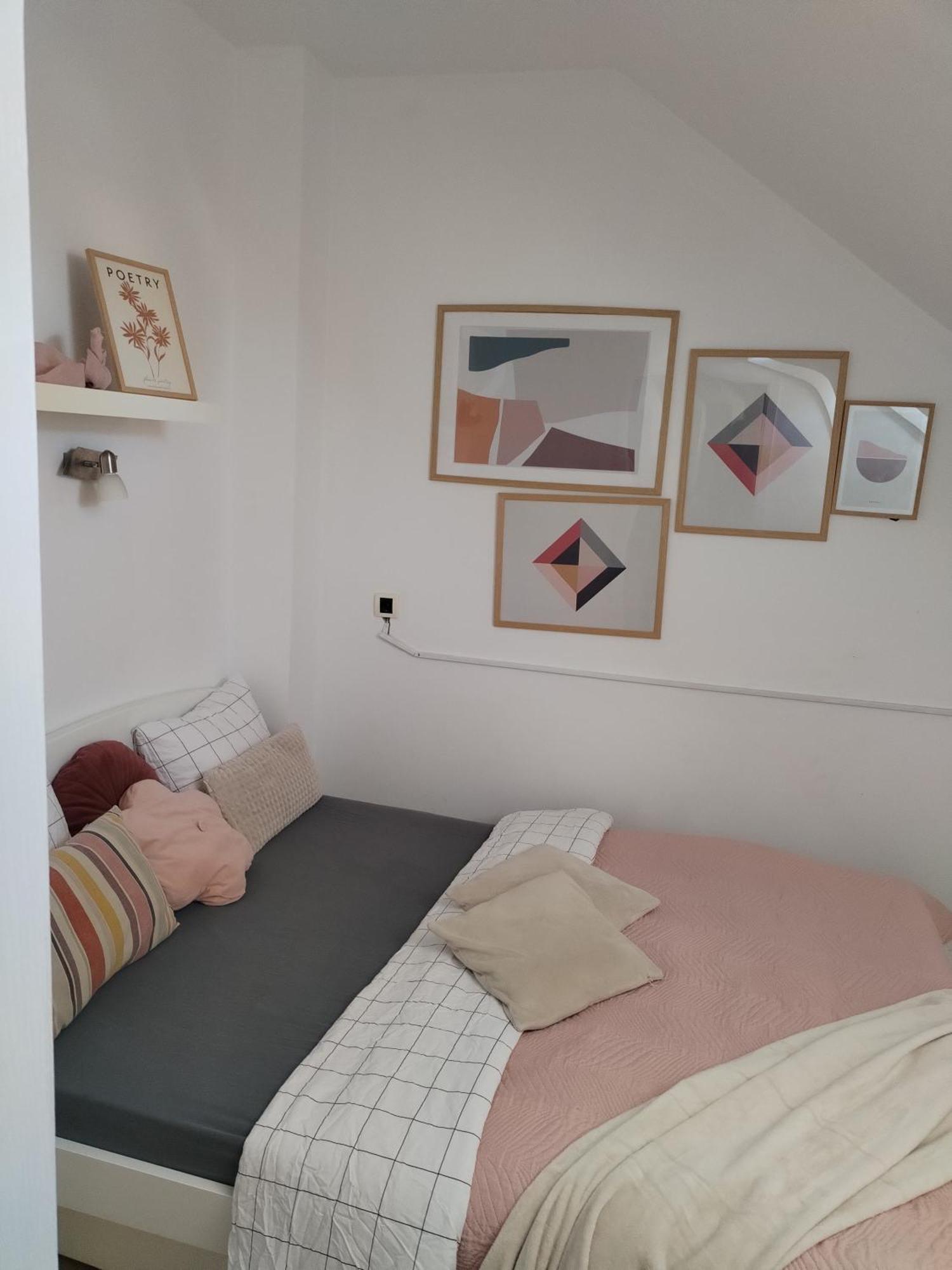 Centar Novi Sad-Apartman No 3 Экстерьер фото