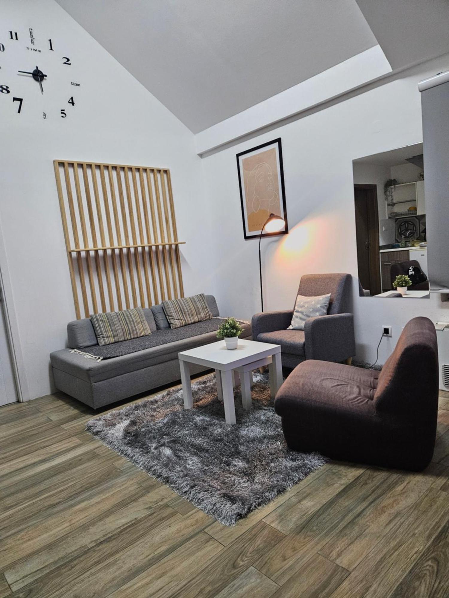 Centar Novi Sad-Apartman No 3 Экстерьер фото
